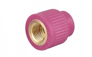 Female threaded coupling