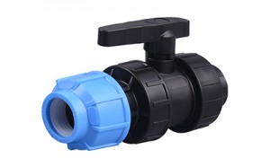 double union ball valve(F and ST)